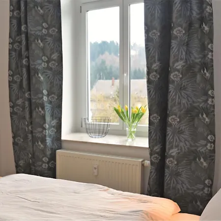 Pretty With Terrace Near Borstendorf Villa *